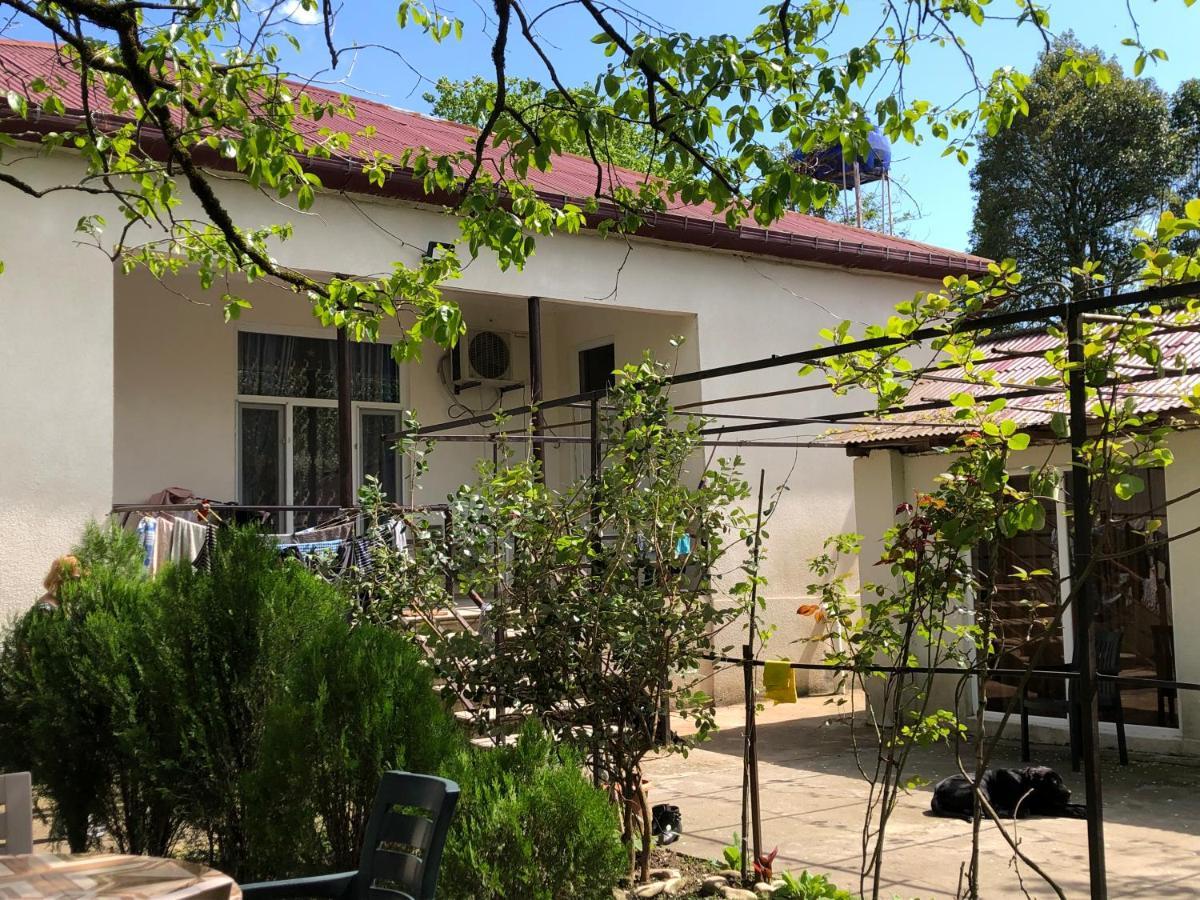 Martvili Guesthouse 외부 사진
